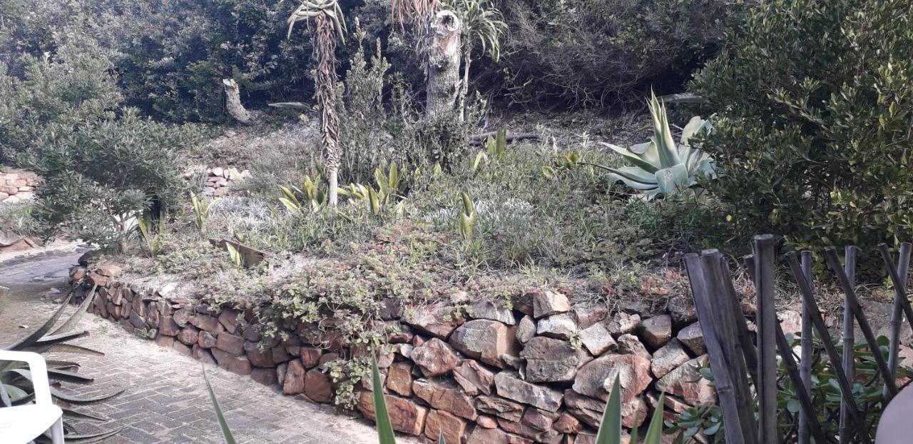 Crashing Waves Self Catering Unit Port Alfred Exterior foto
